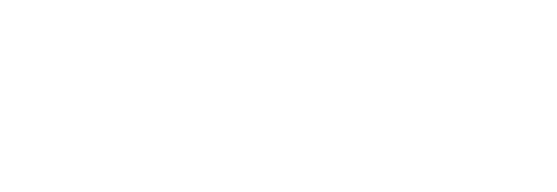 CMS Logo